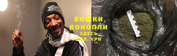 дурь Богданович